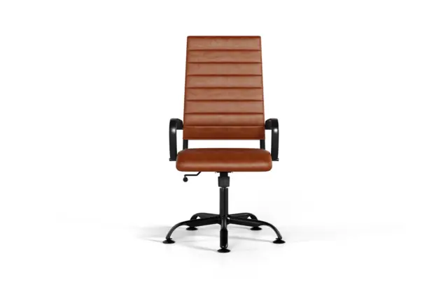 Premium Office Chair