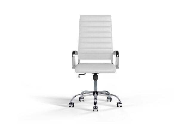 Premium Office Chair